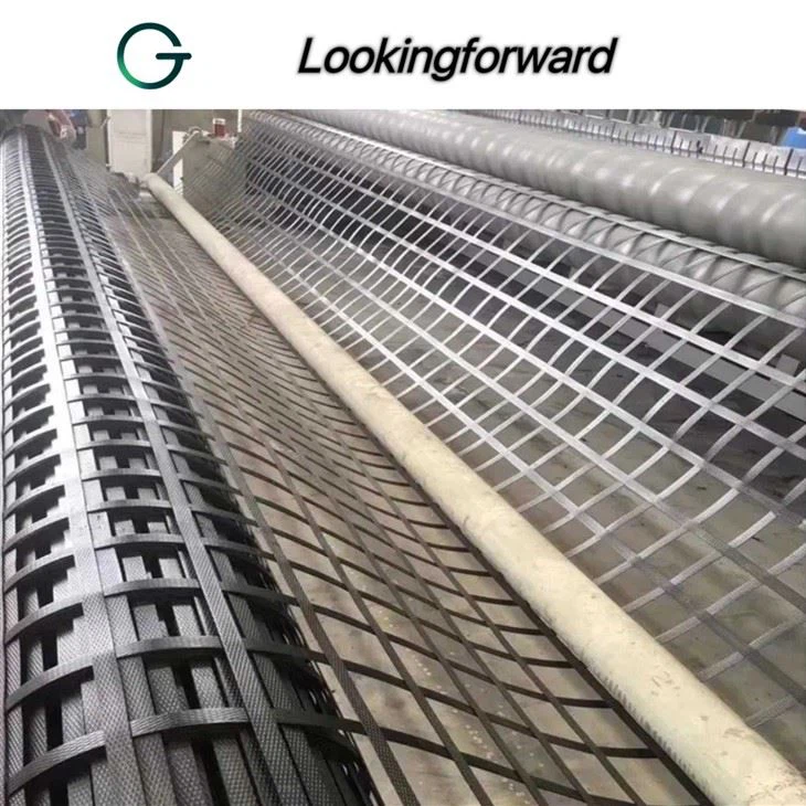 Steel Plastic Geogrid 012